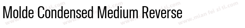 Molde Condensed Medium Reverse字体转换